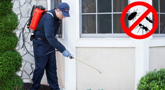 Mucur Tahtakurusu İlaçlama böcek ilaçlama ve haşere kontrolü — ilaclama-tr.com